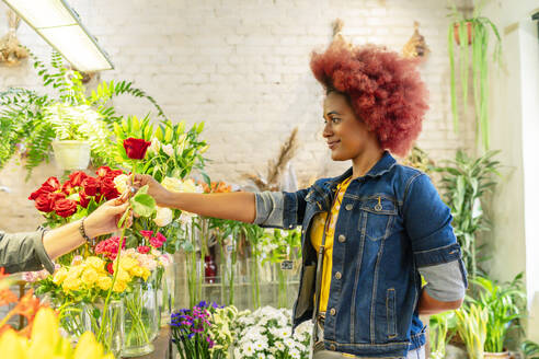 Frau mit Afro-Haar erhält eine hübsche Rose - CAVF93703