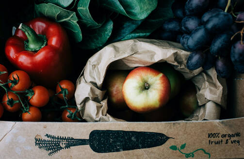 Frisches Bio-Obst und -Gemüse in einer wiederverwendbaren Kiste, frisch geerntet - CAVF93711