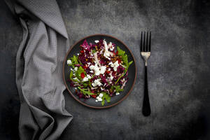Studioaufnahme eines Tellers mit vegetarischem Salat mit Linsen, Rucola, Feta-Käse, Radicchio und Paprika - LVF09094