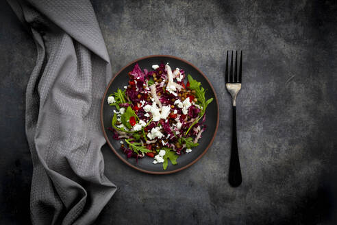 Studio shot of plate of vegetarian salad with lentils, arugula, feta cheese, radicchio and bell pepper - LVF09094