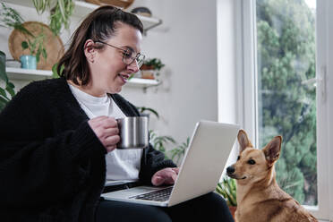 Reife Frau mit Kaffeetasse, die zu Hause neben einem Podenco-Hund an einem Laptop arbeitet - ASGF00029