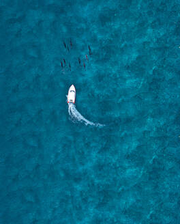 Luftaufnahme eines Motorboots, das eine Gruppe von Delfinen im blauen Meer verfolgt - KNTF06181