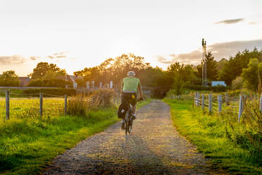 Mann beim Mountainbiking auf ländlichem Weg, Rückansicht - CUF57877