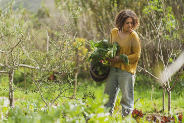 Frau hält Gemüse im Permakultur-Garten - SBOF03133