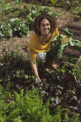 Smiling woman in squatting picking vegetables in permaculture garden - SBOF03137