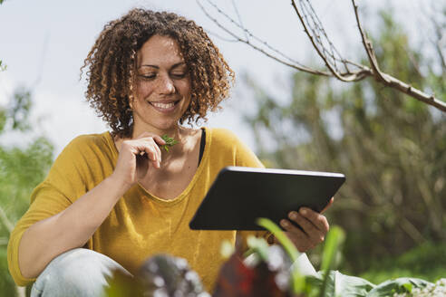 Lächelnde Frau, die auf ein digitales Tablet schaut und ein Kraut gegen den Himmel im Garten hält - SBOF03139