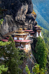 Tiger's Nest Monastery, eine heilige buddhistische Vajrayana-Stätte im Himalaya im oberen Paro-Tal in Bhutan, Asien - RHPLF19330