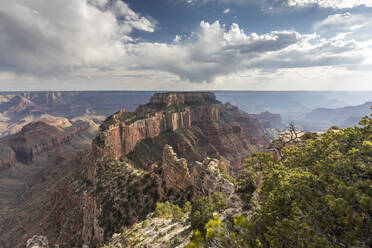 Blick vom Cape Royal Point auf den Nordrand des Grand Canyon National Park, UNESCO Weltkulturerbe, Arizona, Vereinigte Staaten von Amerika, Nordamerika - RHPLF19353