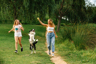 Fröhliche Mutter und Tochter, die im Sommer in einem Park laufen und mit einem bezaubernden Border Collie Hund spielen, während sie am Wochenende Spaß miteinander haben - ADSF21215