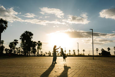Seitenansicht Silhouette von zufriedenen weiblichen Besitzer mit Ball spielen mit lustigen Border Collie Hund, während auf der Straße während Sonnenuntergang im Sommer stehen - ADSF21219