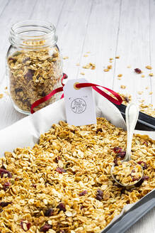 Homemade granola with cranberries, pumpkin seeds and whole grain oat flakes - LVF09103