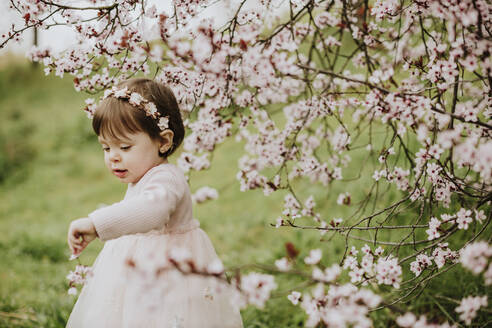 Baby Mädchen spielt mit Blumen von Kirschbaum im Frühling - GMLF01076