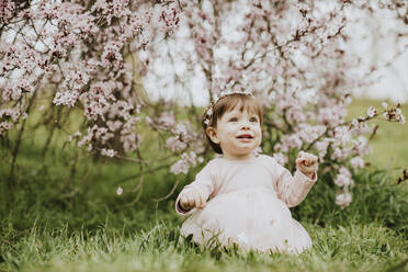 Baby girl sitting on grass near cherry tree in springtime - GMLF01079