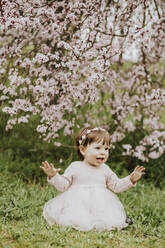 Baby girl sitting on grass near cherry tree in springtime - GMLF01080