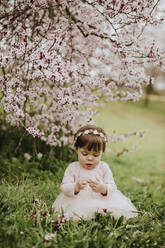 Baby girl sitting on grass near cherry tree in springtime - GMLF01085