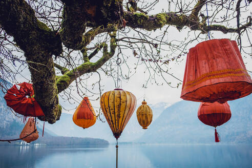 Low Winkel von bunten Papier Laternen hängen von Baum wächst in der Nähe malerischen See umgeben von felsigen Bergen in Hallstatt - ADSF21341