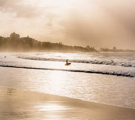 Side view of silhouette of surfer with surfboard walking in sea water in sunny evening in Australia - ADSF21427