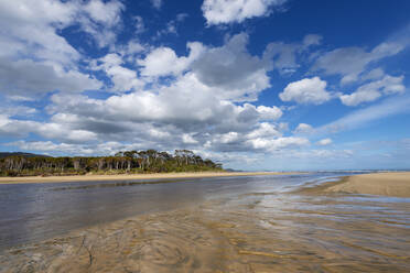 Clouds over sandy bank of Tahakopa River - RUEF03223