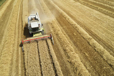 Drone view of combine harvester collecting grain in summer - RUEF03243