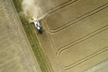 Drone view of combine harvester collecting grain in summer - RUEF03244