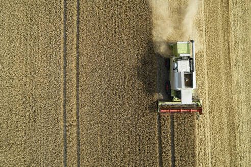 Drohnenansicht eines Mähdreschers bei der Getreideernte im Sommer - RUEF03245