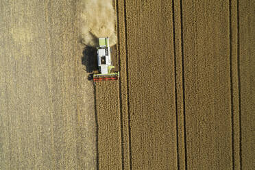 Drone view of combine harvester collecting grain in summer - RUEF03246