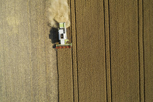 Drohnenansicht eines Mähdreschers bei der Getreideernte im Sommer - RUEF03246