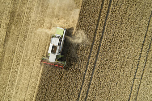 Drohnenansicht eines Mähdreschers bei der Getreideernte im Sommer - RUEF03248