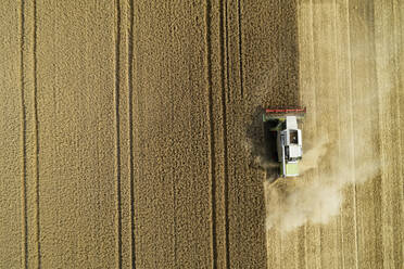 Drone view of combine harvester collecting grain in summer - RUEF03249