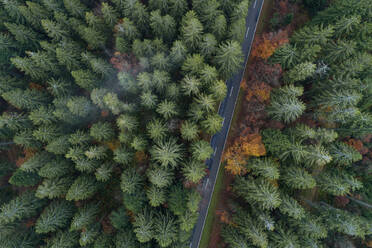 Drohnenansicht einer Autobahn, die sich durch die grünen Wälder des Schwarzwalds schlängelt - RUEF03252