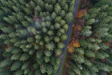 Drone view of highway cutting through green woodland of Black Forest - RUEF03252