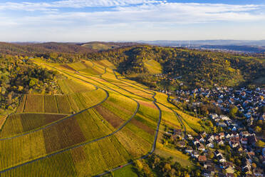 Deutschland, Baden Württemberg, Stuttgart, Luftaufnahme von Weinbergen im Herbst - WDF06553