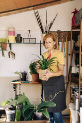 Ältere Frau mit Topfpflanze im Schuppen - AMPF00122