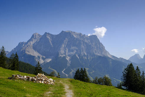 Brennholz liegt neben einem Bergwanderweg mit der Zugspitze im Hintergrund - LBF03460