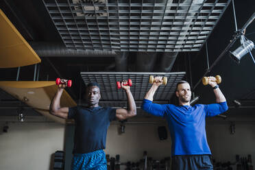 Muskulöse männliche Athleten trainieren zusammen mit Hanteln im Fitnessstudio - EBBF02722