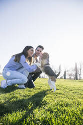 Pärchen spielt mit Hund, während es im Park auf dem Rasen hockt - ABZF03470