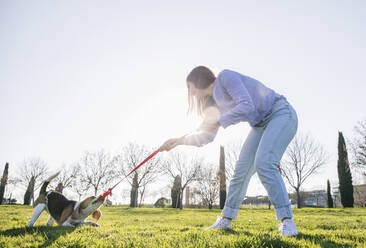 Frau zieht Hund an der Leine, während sie im Gras steht - ABZF03474