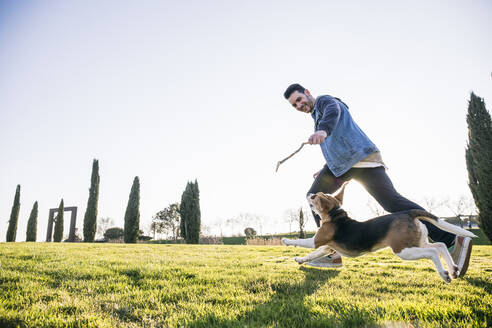 Man showing stick to dog while running on grass during sunny day - ABZF03496