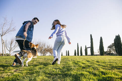 Mittlerer erwachsener Mann und Frau laufen mit Hund beim Spielen im Park - ABZF03498