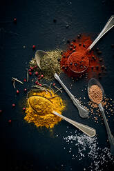 Top view of assorted aromatic spices in spoons and fresh herbs arranged on black background - ADSF21569