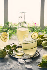 Ein Glas frische, kalte Limonade mit einer Limettenscheibe auf dem Tisch mit Eiswürfeln und Minzzweigen - ADSF21574