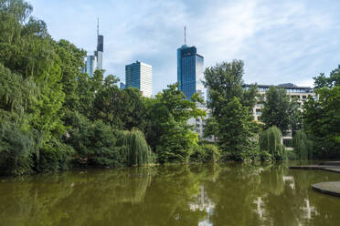 Deutschland, Hessen, Frankfurt, Grüner Teich in der Bockenheimer Anlage im Park der Wallanlagen - TAMF02903