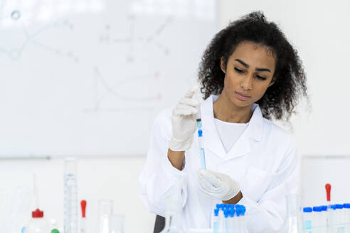 Junger Forscher, der eine Flüssigkeit in ein Reagenzglas spritzt, während er im Labor arbeitet - GIOF11891