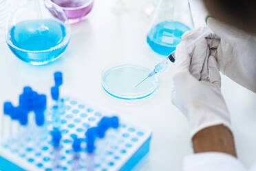 Researcher drawing liquid from petri dish in syringe at laboratory - GIOF11894