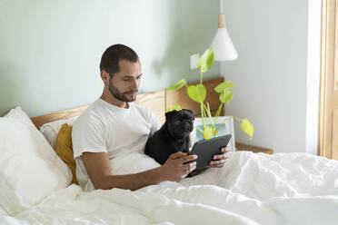 Junger Mann, der ein digitales Tablet mit einem Mops-Hund benutzt, während er zu Hause auf dem Bett sitzt - SBOF03214