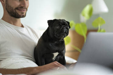 Junger Mann mit Mops starrt auf Laptop, während er zu Hause sitzt - SBOF03216