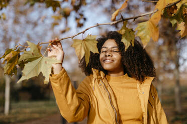 Afro woman holding branch in park during autumn - TCEF01686