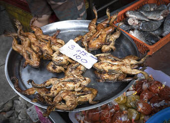 Exotische gebratene Frösche auf einem Tablett an einem Stand auf einem lokalen Straßenmarkt mit verschiedenen Fischsorten und Gewürzen in Thailand - ADSF22005