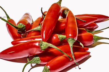 Top view Zusammensetzung mit roten frischen exotischen Paprika als Gewürz oder Würze verwendet, um Lebensmittel auf weißem Hintergrund Geschmack - ADSF22011