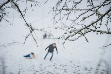 Zweige eines Baumes mit Schnee und Vater, der seinen Sohn in einem Schlitten zieht, im Winter - MFF07637